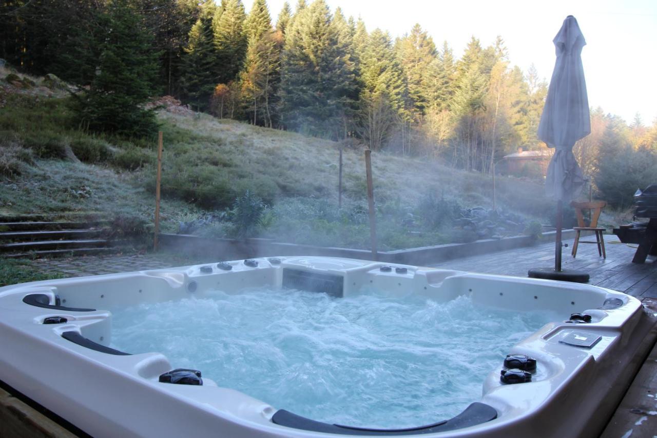 Le Chalet De Valentine Bed and Breakfast Ventron Eksteriør billede
