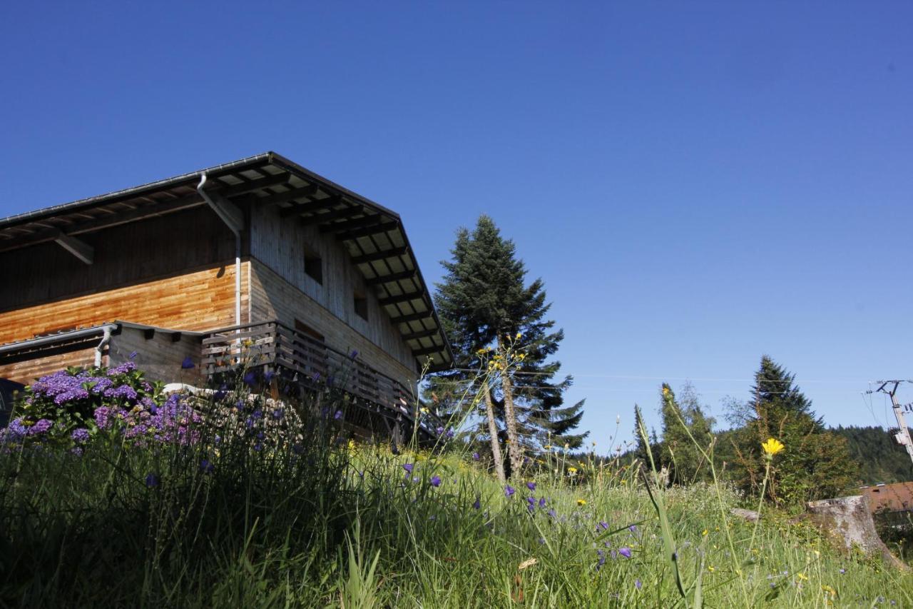 Le Chalet De Valentine Bed and Breakfast Ventron Eksteriør billede